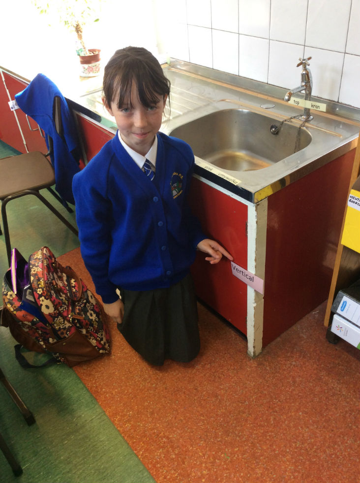 P.6 Interactive Numeracy Investigation