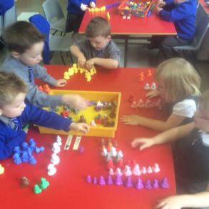 P1 are learning to sort!