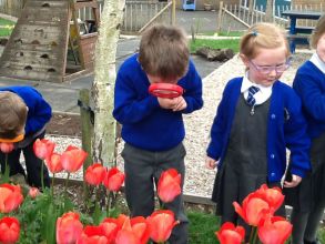 P1 are learning about Spring!